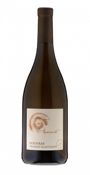 VOUVRAY Ammonite