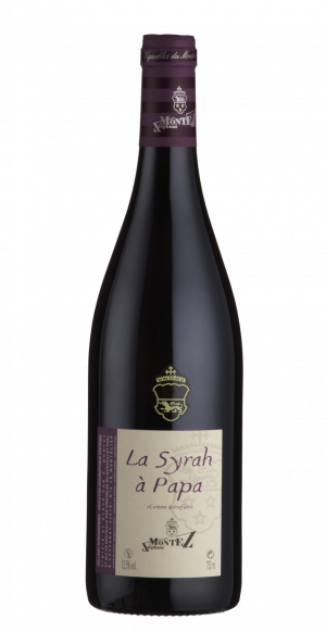 IGP Collines Rhodaniennes – La Syrah à Papa