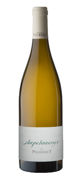 Ampelomeryx Blanc Vin De France