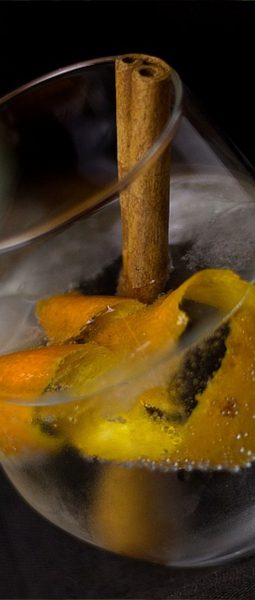 degustation gin mixologie